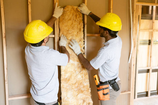 Types of Insulation We Offer in Fabens, TX